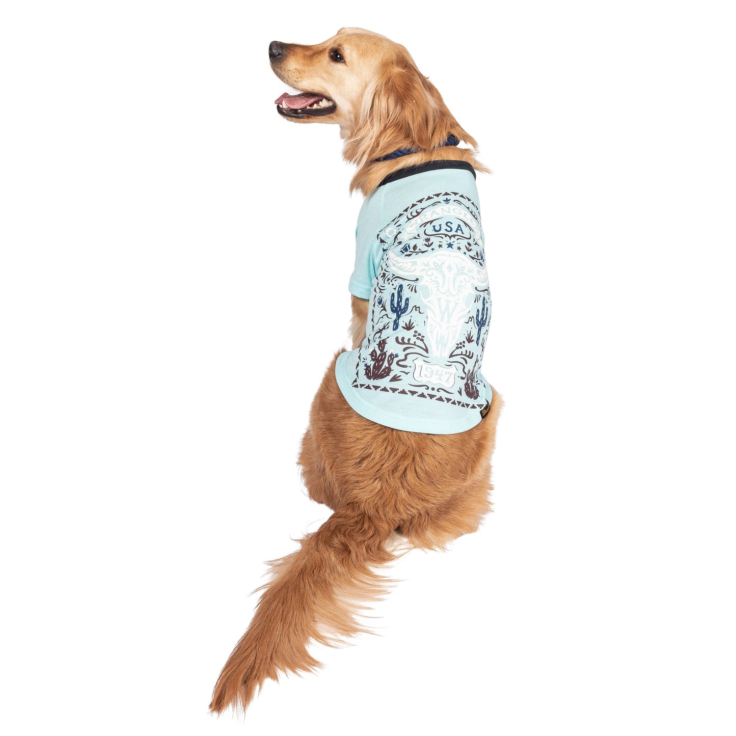 Wrangler Desert Poster T