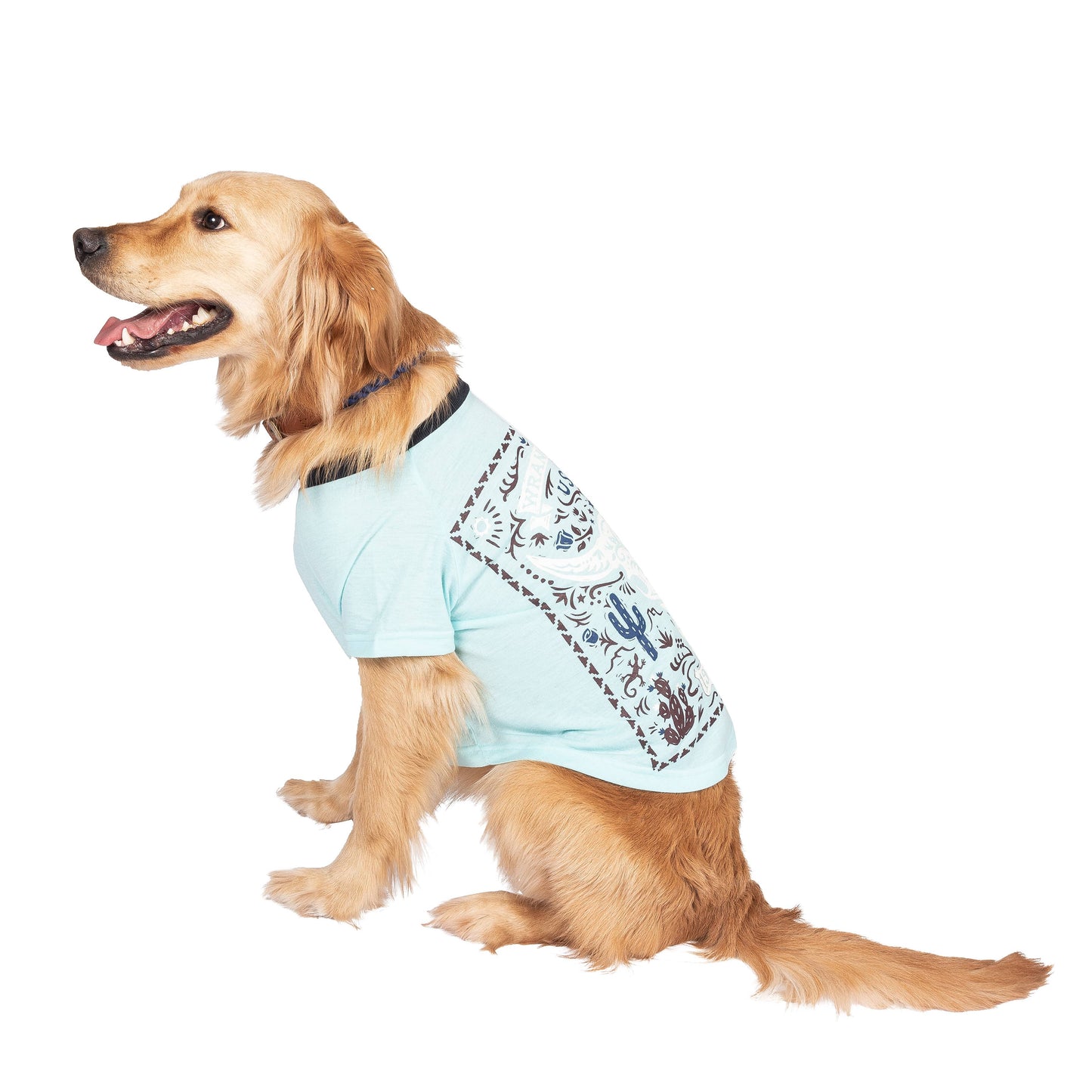 Wrangler Desert Poster T